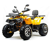 Комплектующие для квадроцикла 200 WILD TRACK X PRO жёлтый